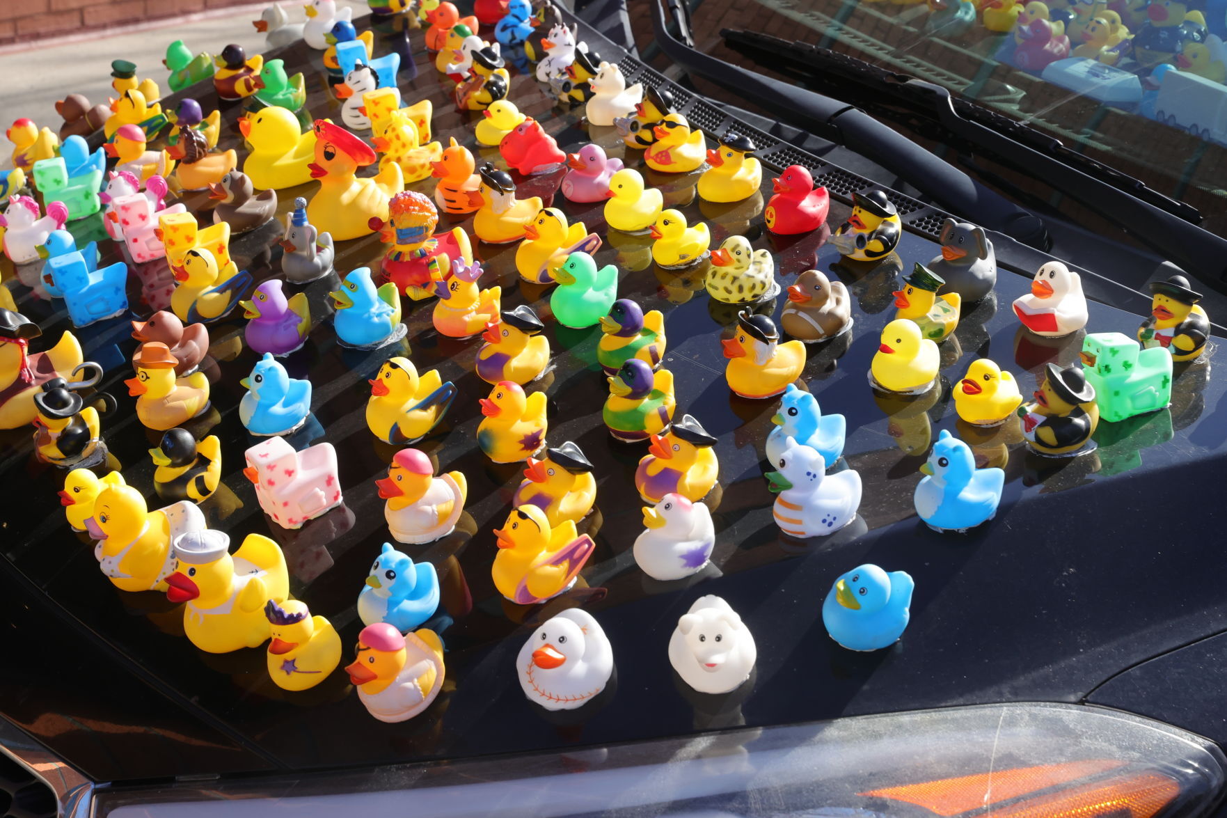 Duck Car